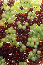 180px-Ripe_grapes.jpg